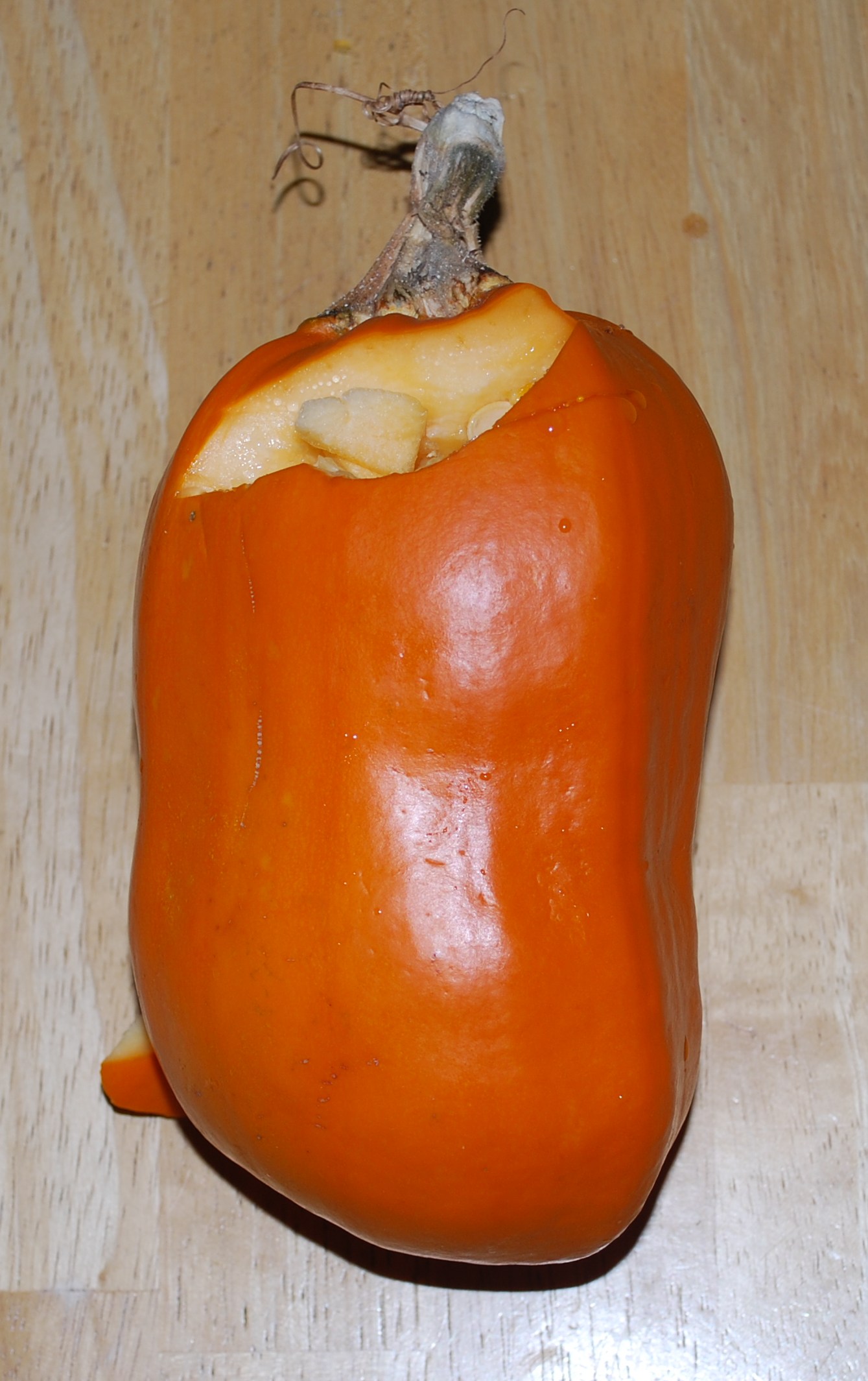 pumpkin2.jpg