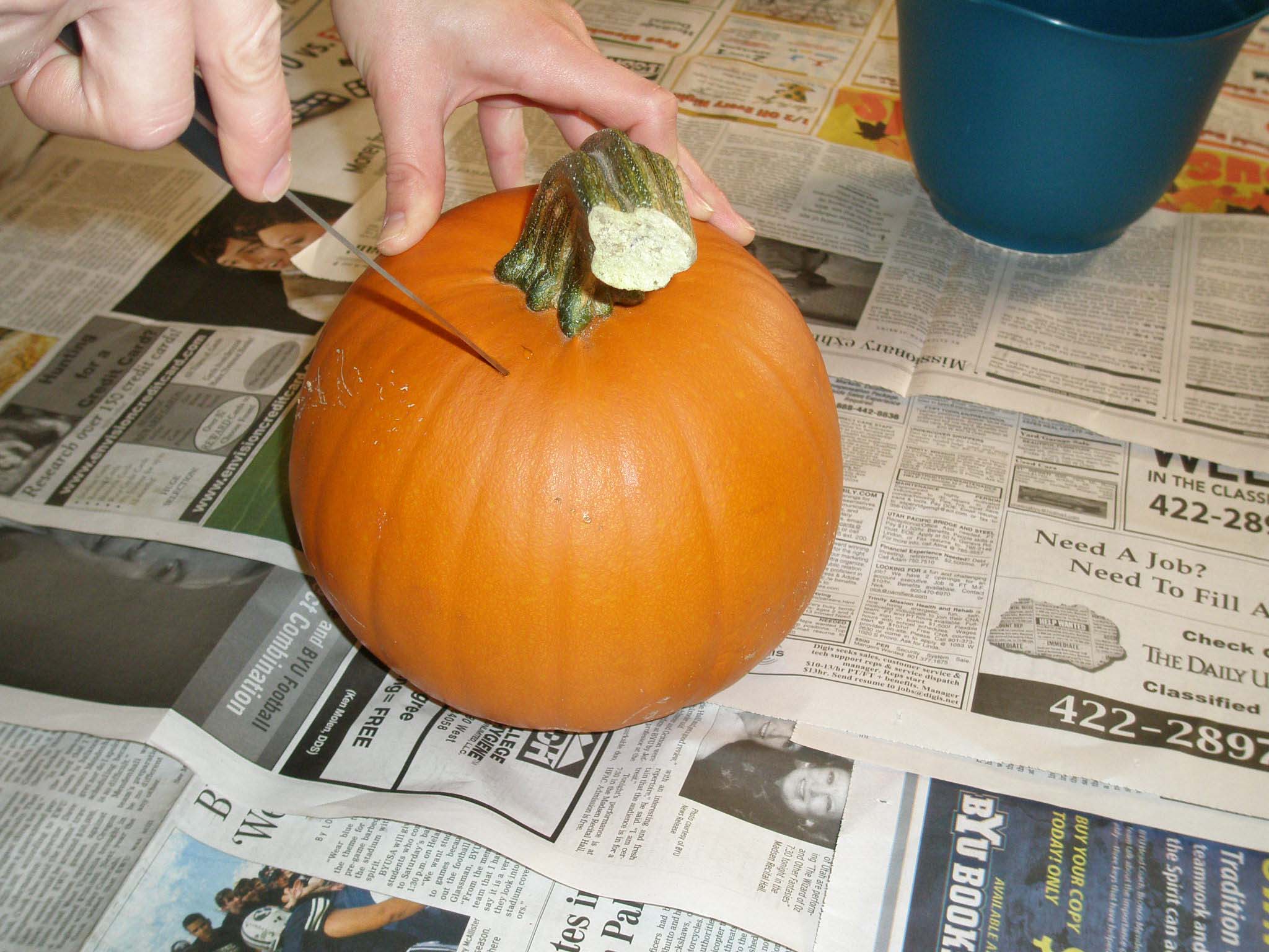 pumpkin3.jpg