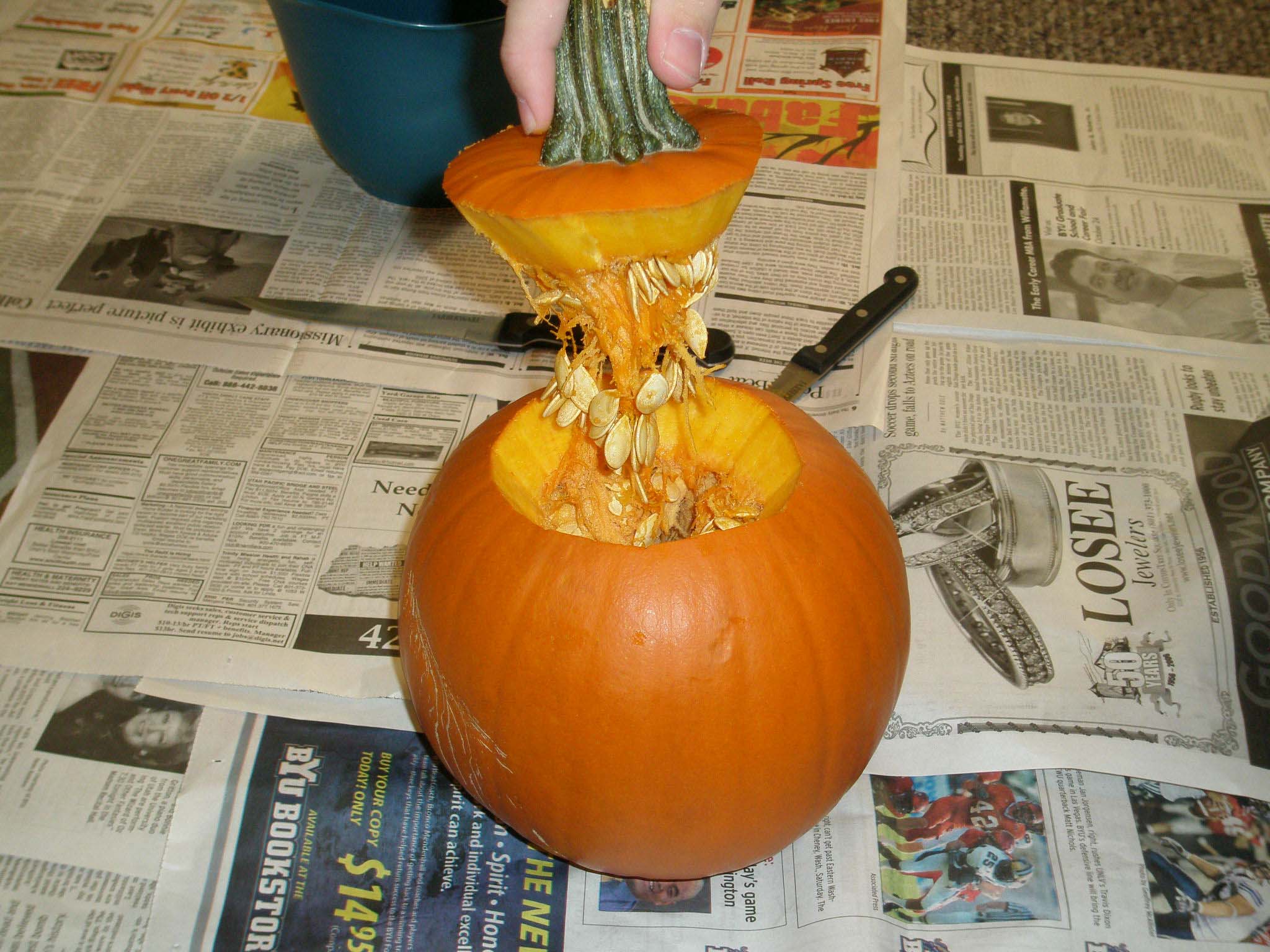 pumpkin4.jpg