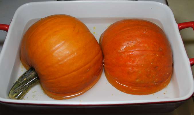 pumpkin_roast3.bmp