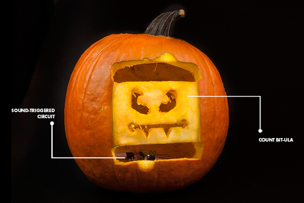 pumpkinalone_annotated.jpg