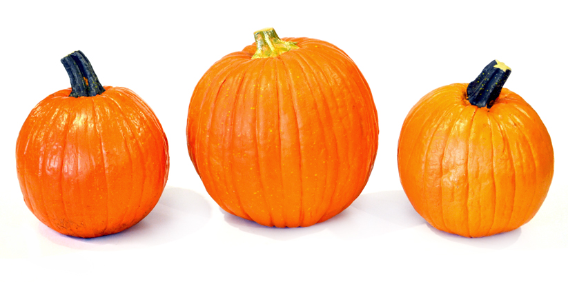 pumpkins.jpg