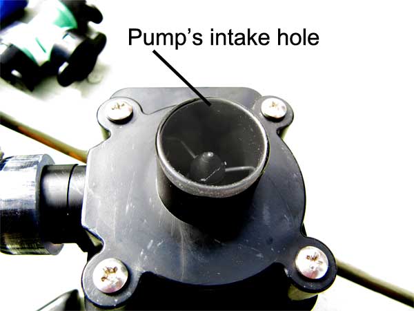 pumpmotor.jpg