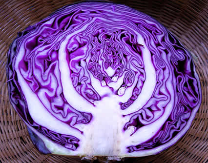 purple_cabbage.jpg