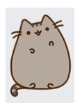 pusheen.jpg