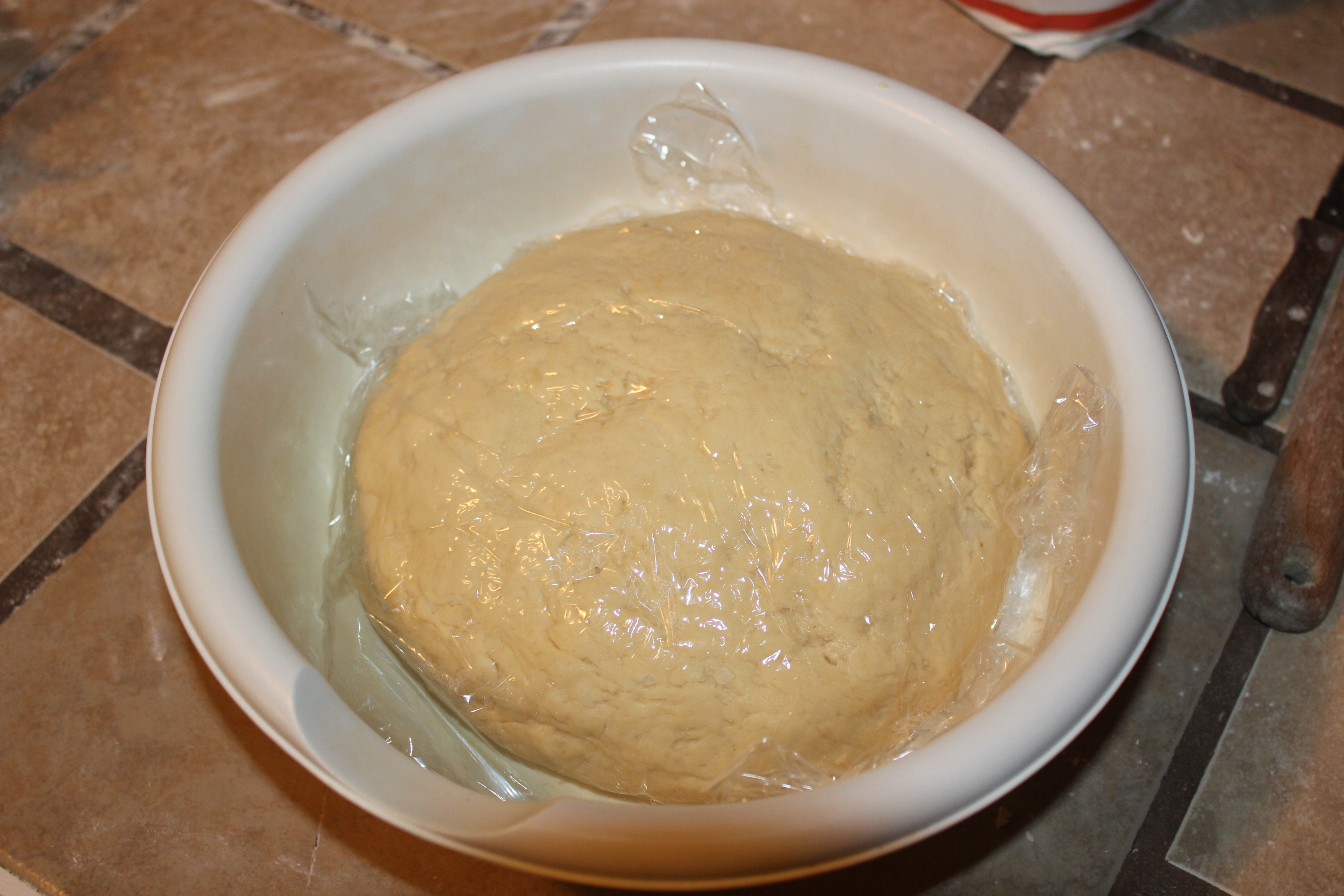 put dough in an oiled bowl.JPG