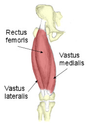 quads[1].jpg