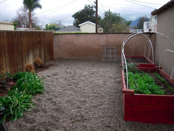 raised bed 1.jpg