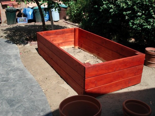 raised bed 4.jpg