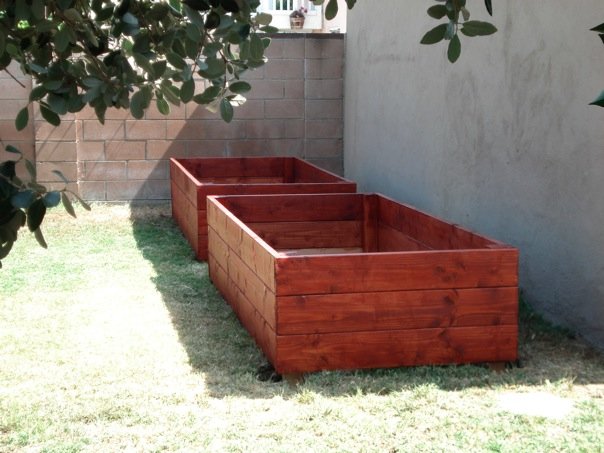 raised bed 5.jpg