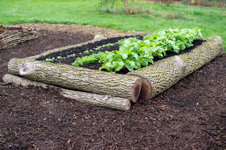 raised-bed-logs.jpg