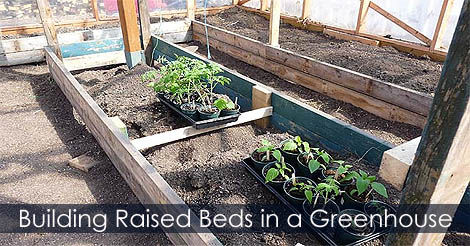 raised-beds-in-a-greenhouse.jpg