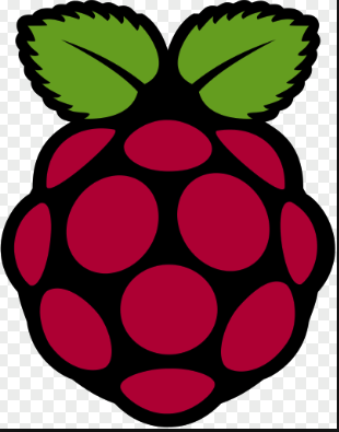 raspberry pi logo red.png