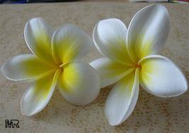 real plumeria 2.jpg