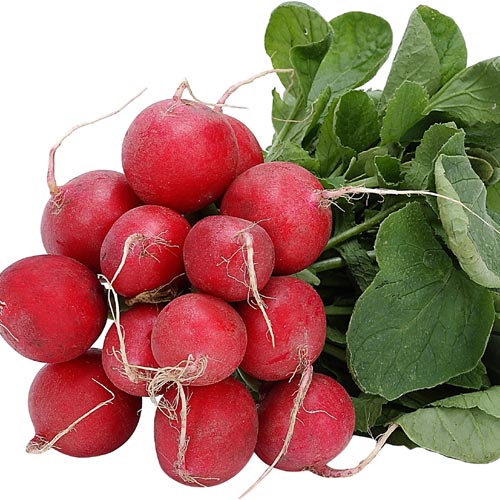 realradishes.jpg