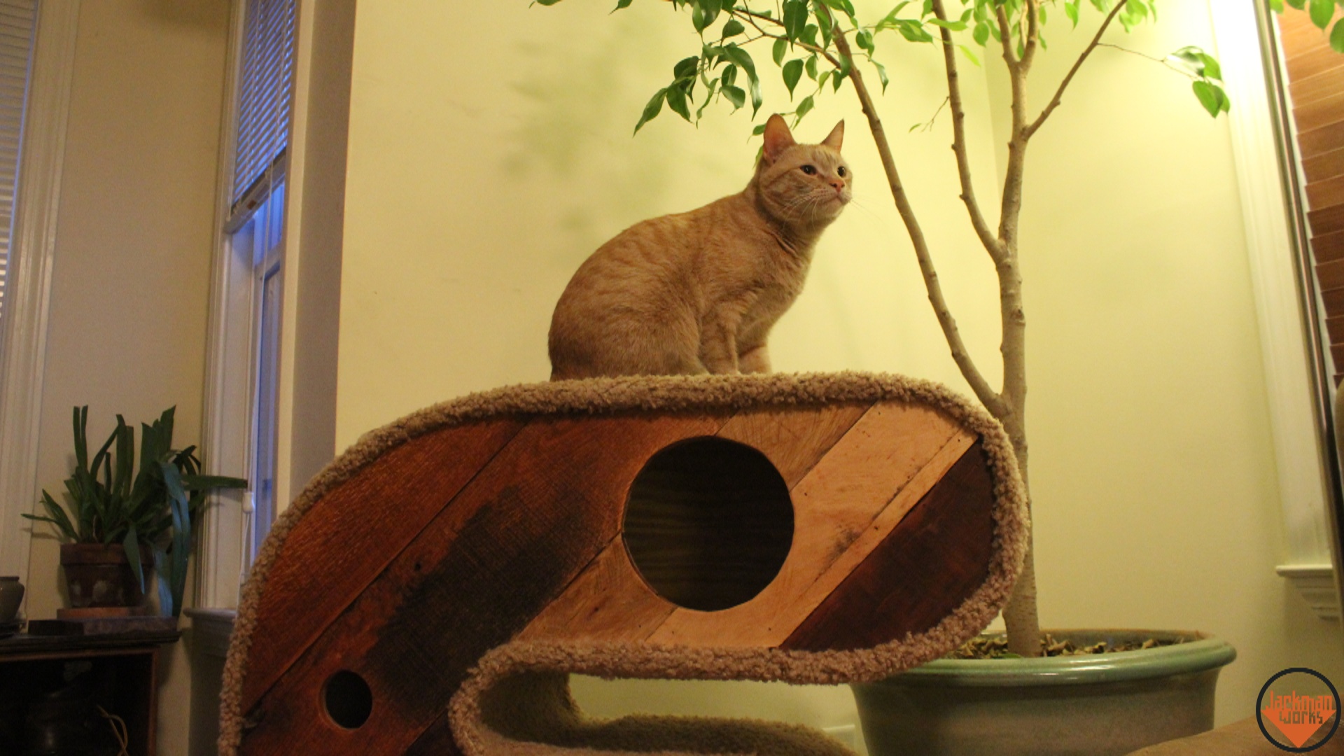 reclaimed recycled cat house tunnel 17.jpg
