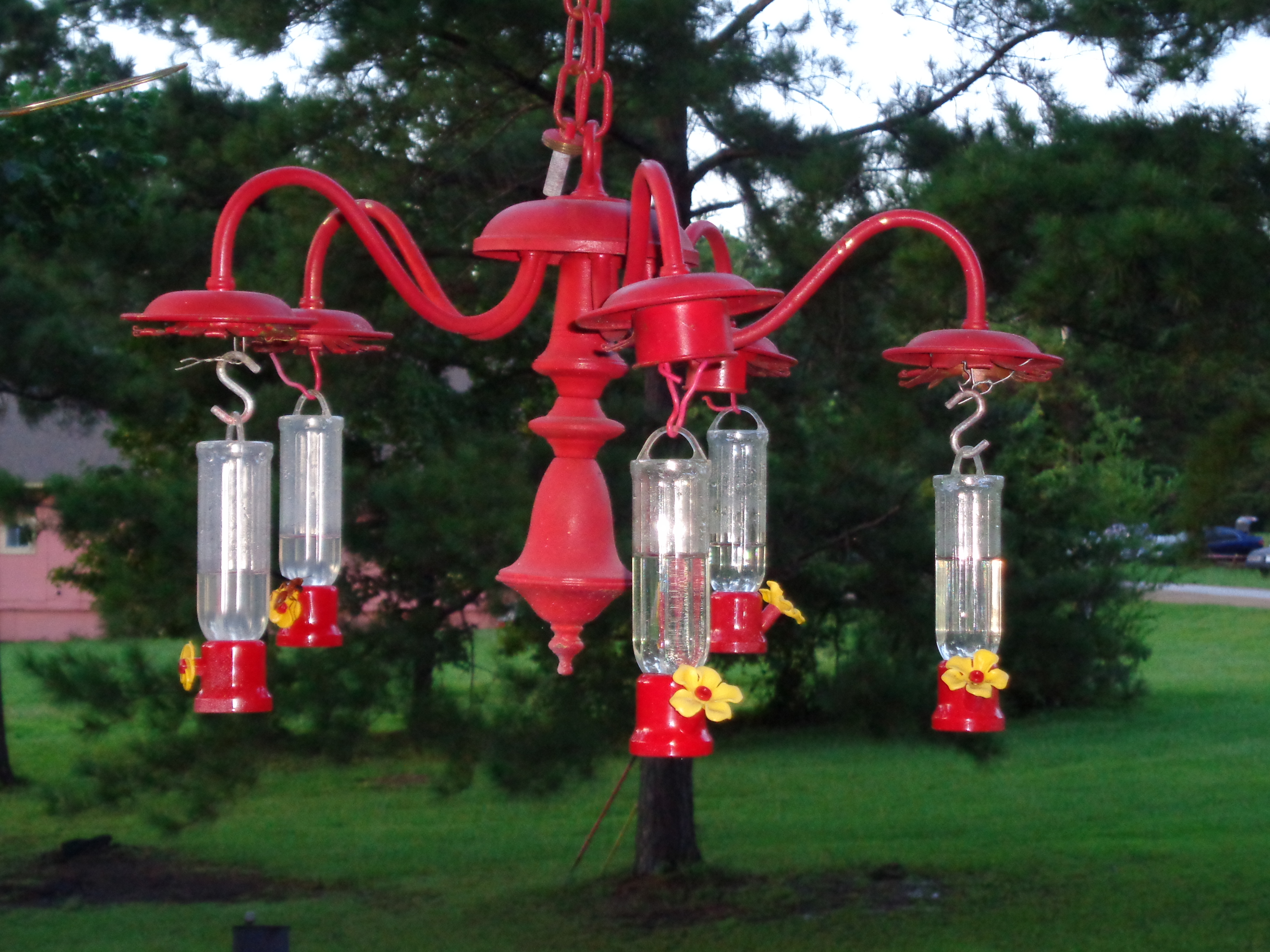 red feeder 002.JPG