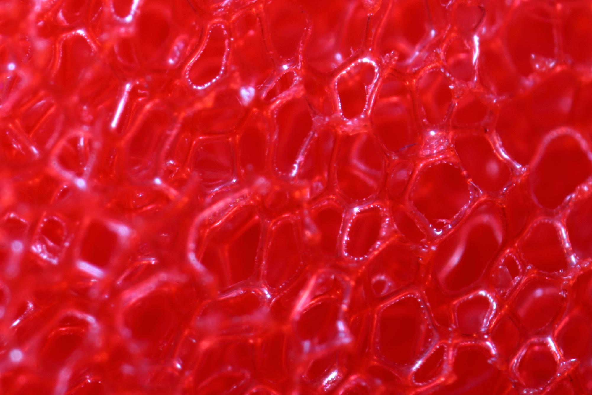 red foam.JPG