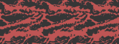 red tiger camo.png