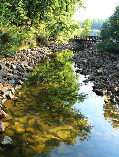 reflections in stream.JPG