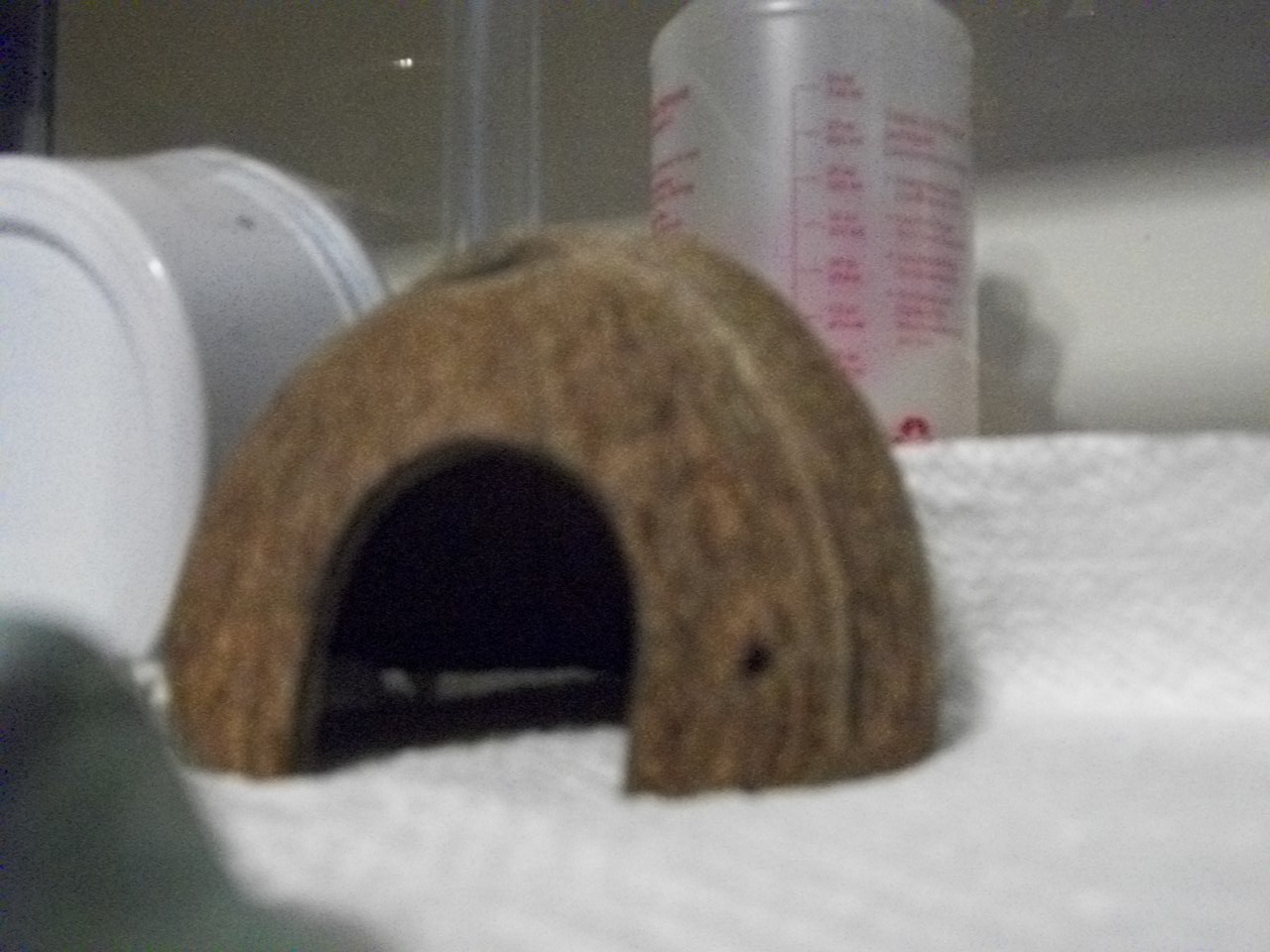 reptile housing 003.JPG