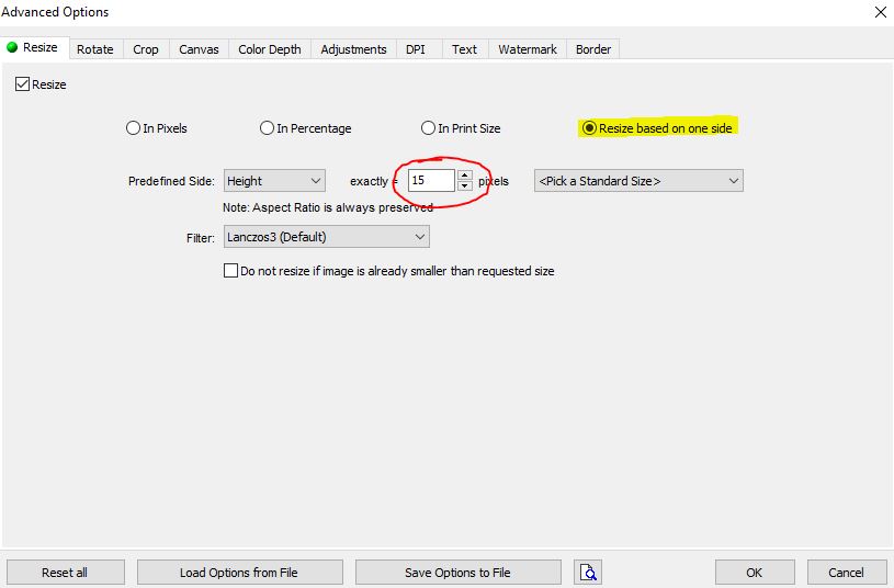 resizeImageAdvOptions.JPG