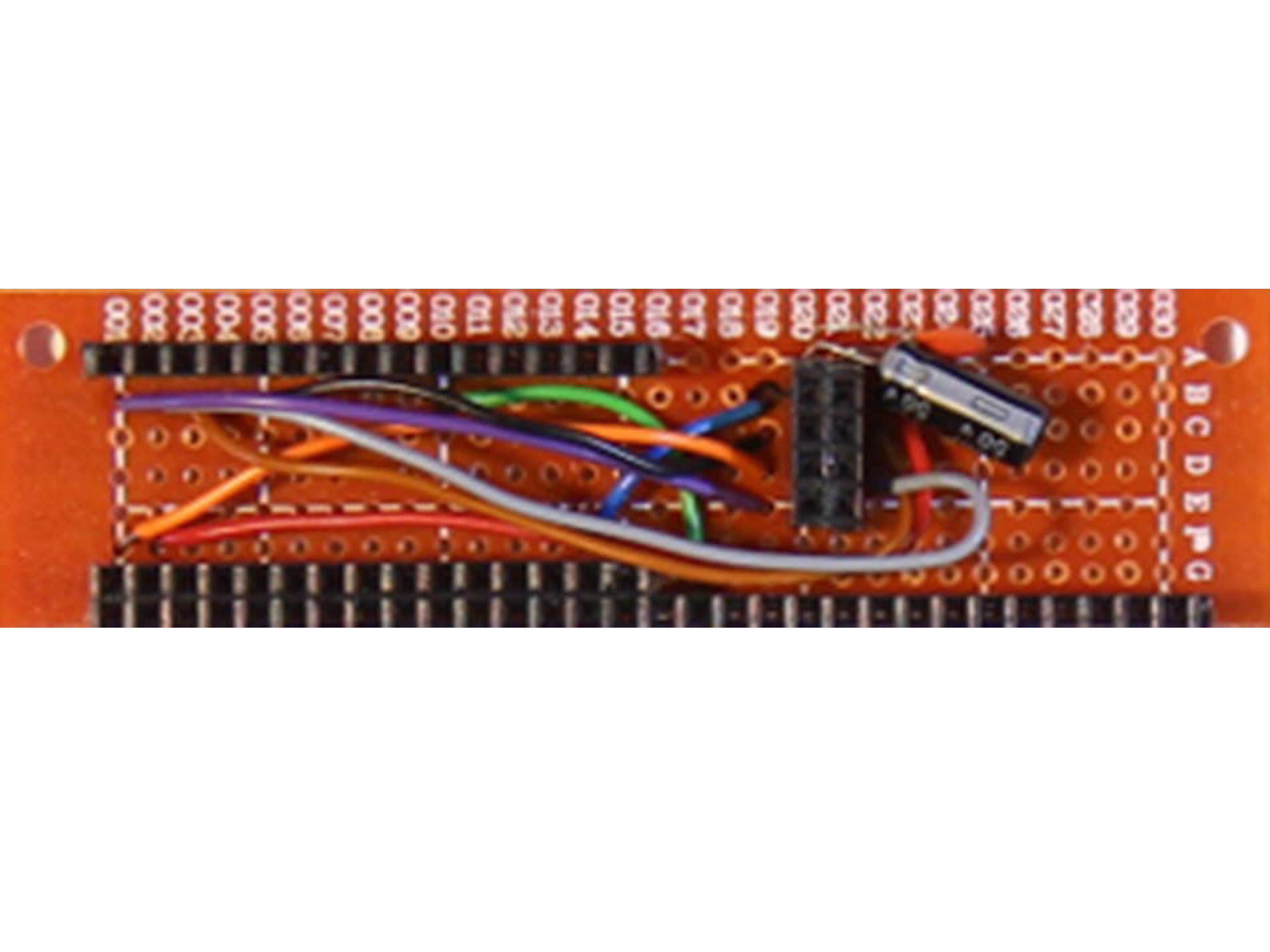 resized4by3129.jpg