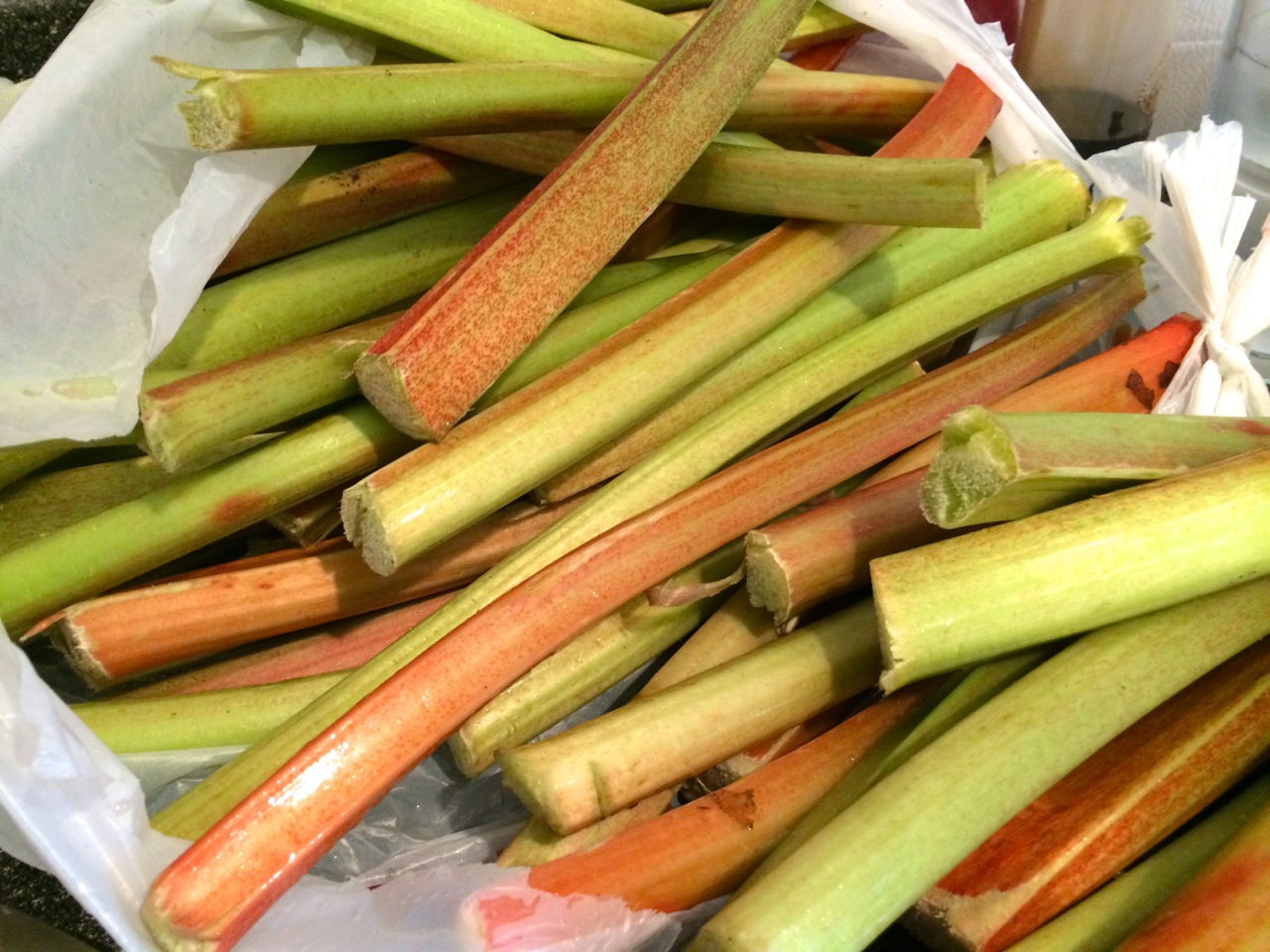 rhubarb.jpg