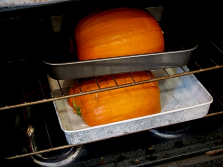 roasted pumpkin tray (1).jpg