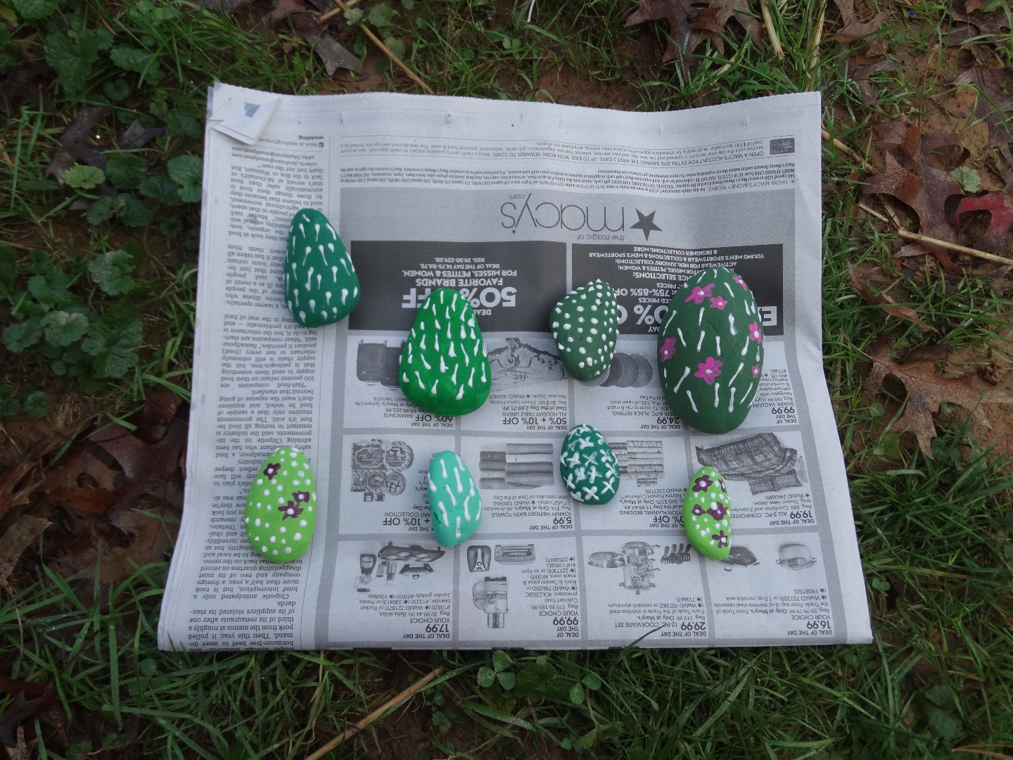 rock cacti and lightbulb and pineapple 001.JPG