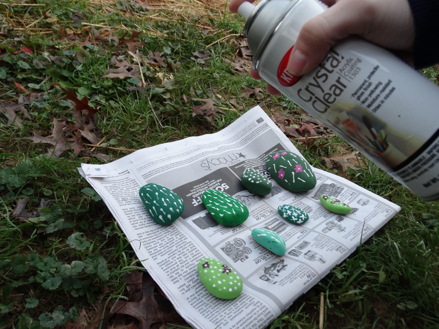 rock cacti and lightbulb and pineapple 002.JPG