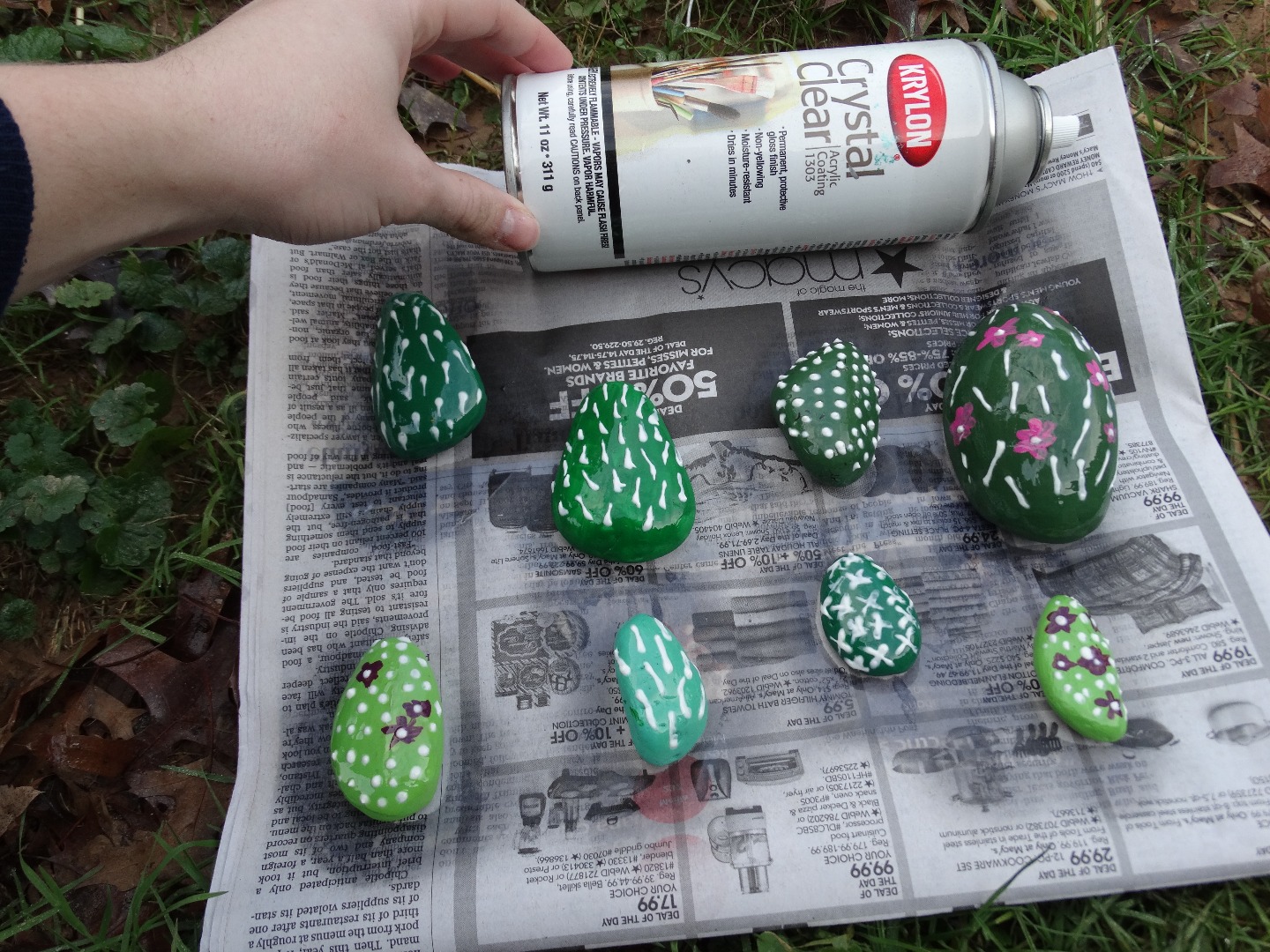 rock cacti and lightbulb and pineapple 003.JPG