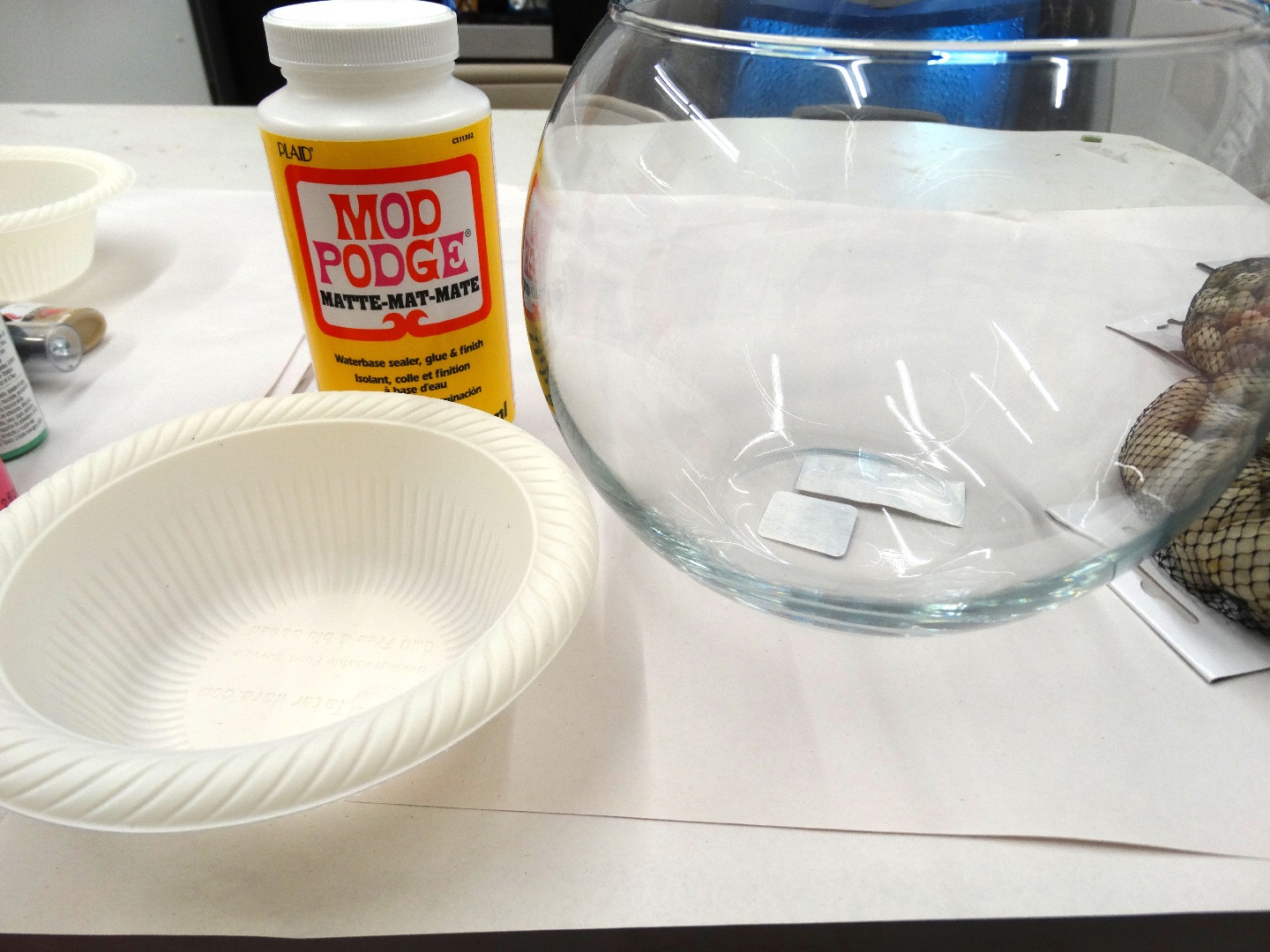 rock terrarium 1 002.JPG