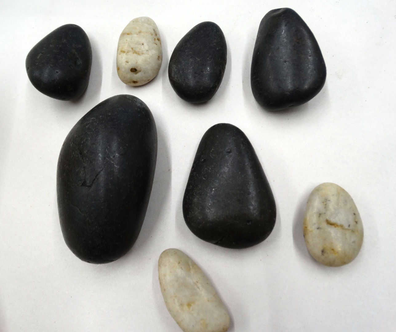 rock terrarium 1 004.JPG