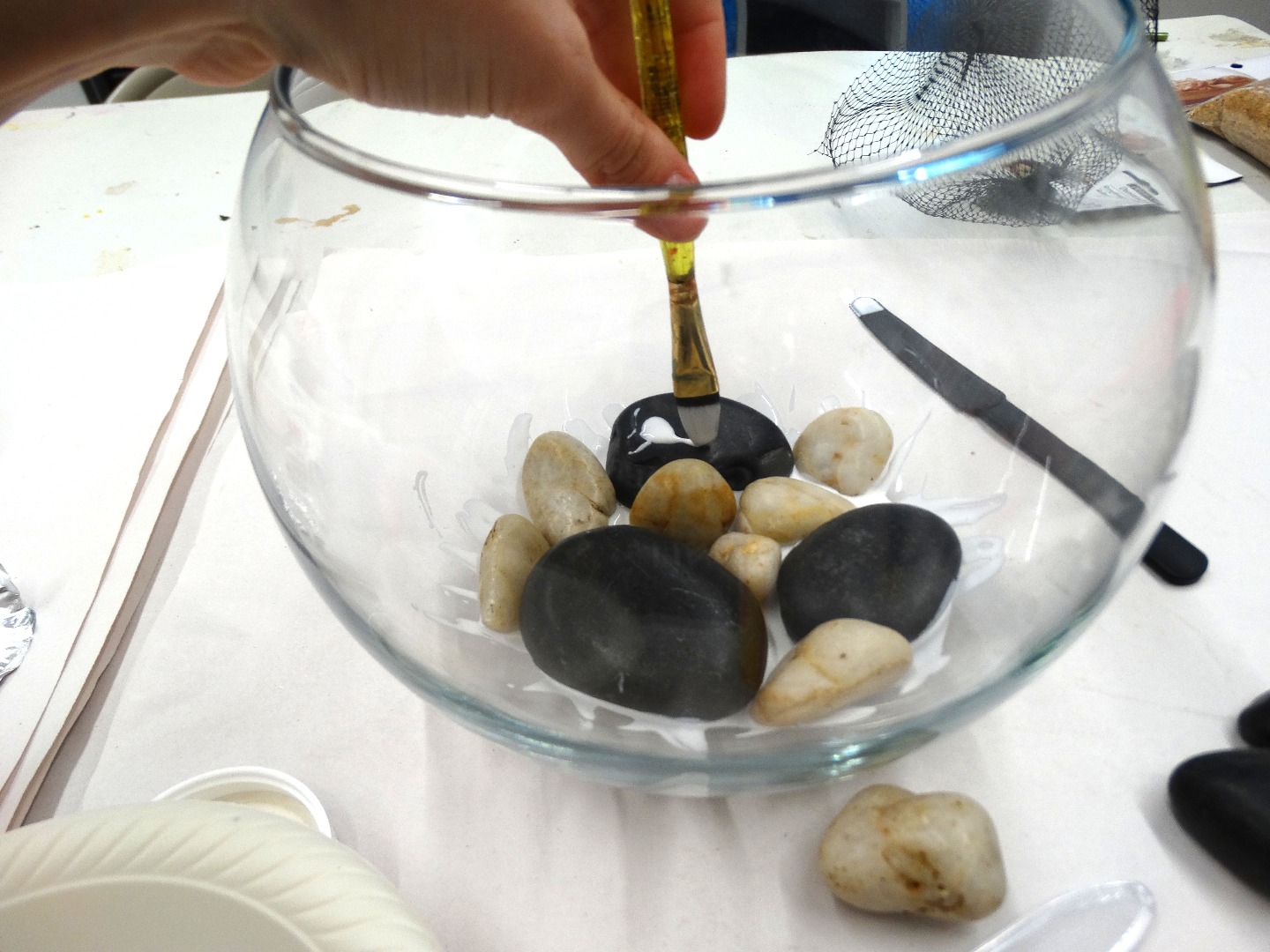 rock terrarium 1 009.JPG