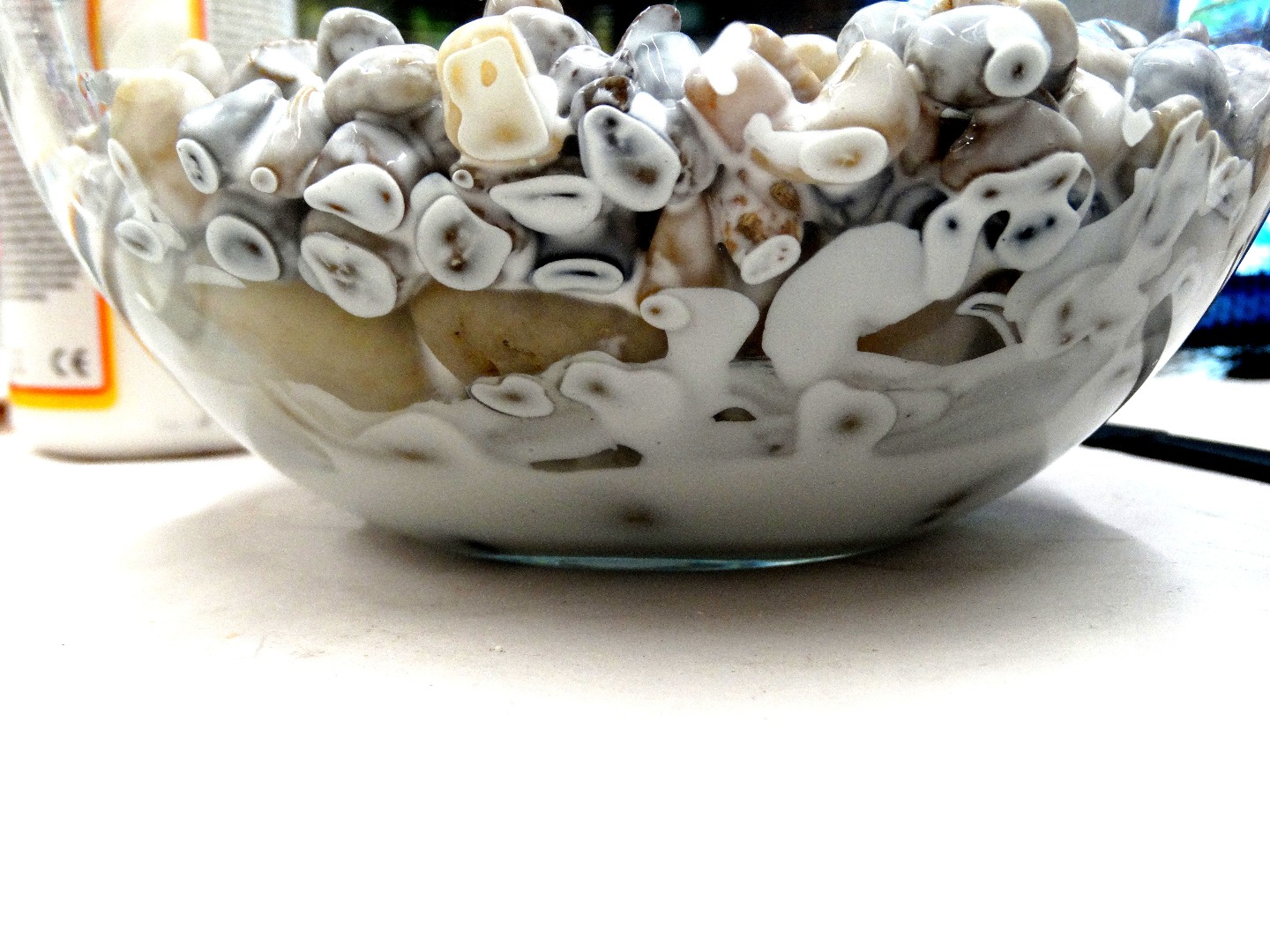 rock terrarium 1 015.JPG