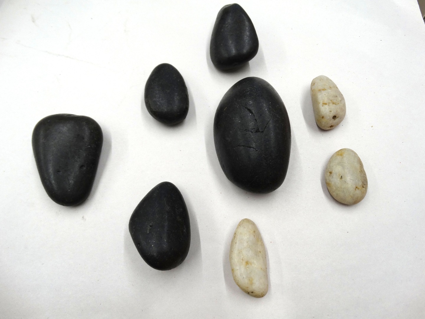 rock terrarium 1 016.JPG