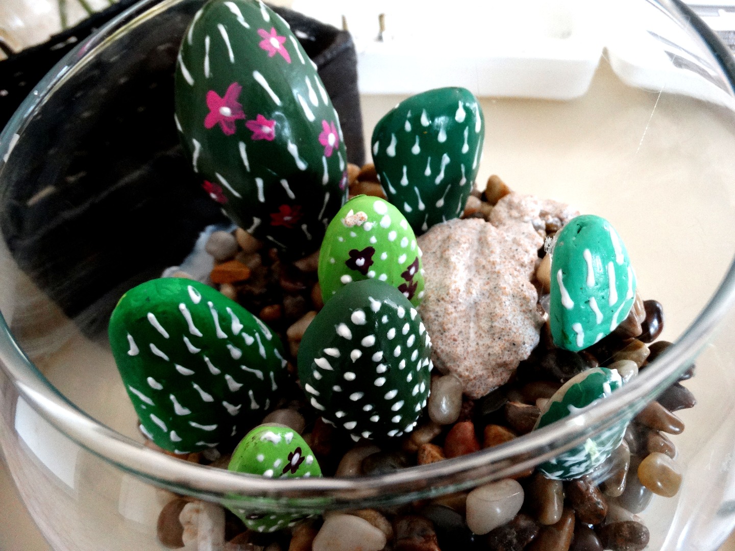 rock terrarium2 002.JPG
