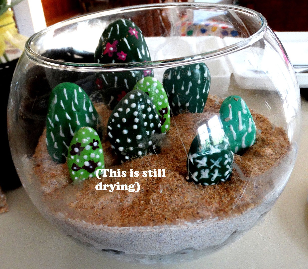 rock terrarium2 004.JPG
