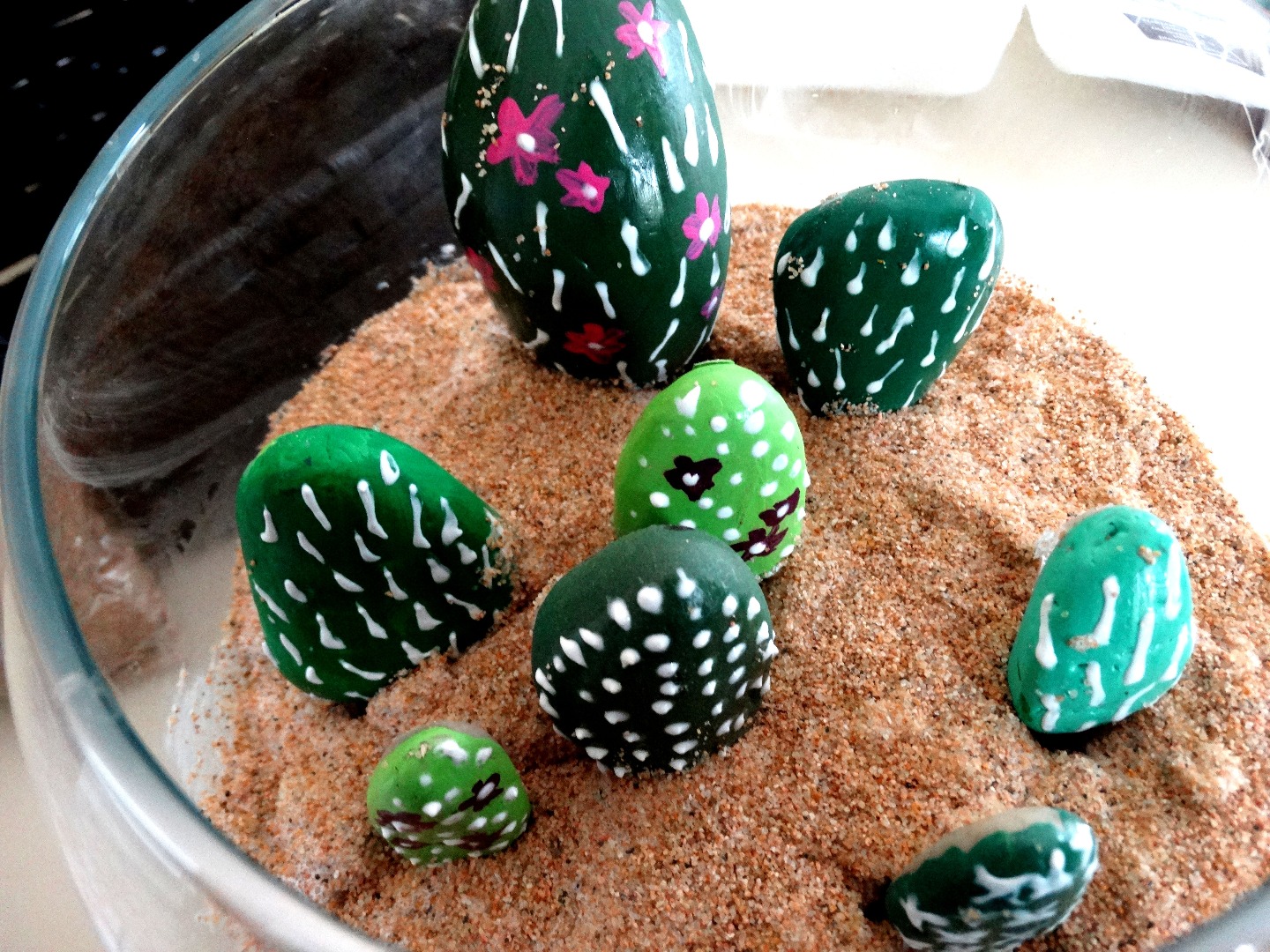 rock terrarium2 005.JPG