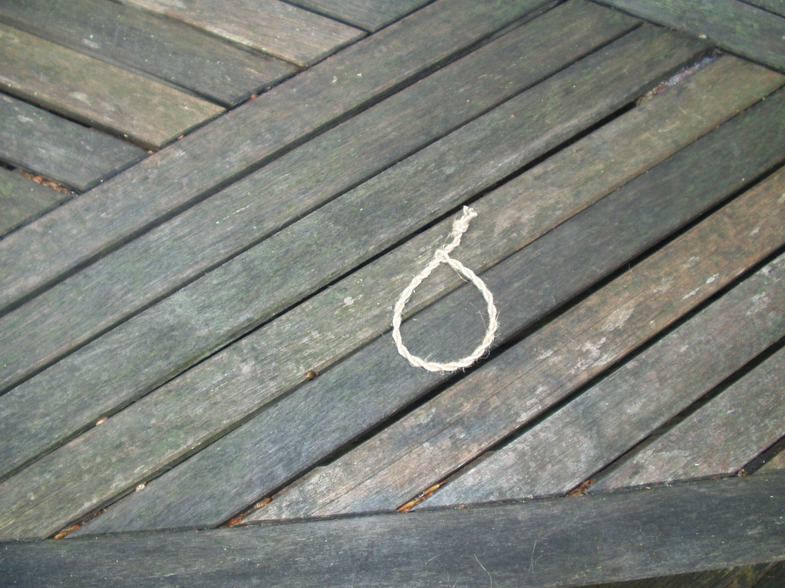 rope a 024.JPG