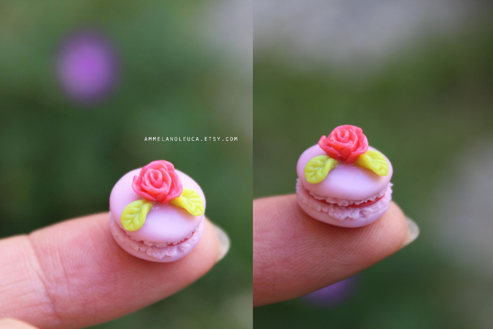 rose macaron.jpg