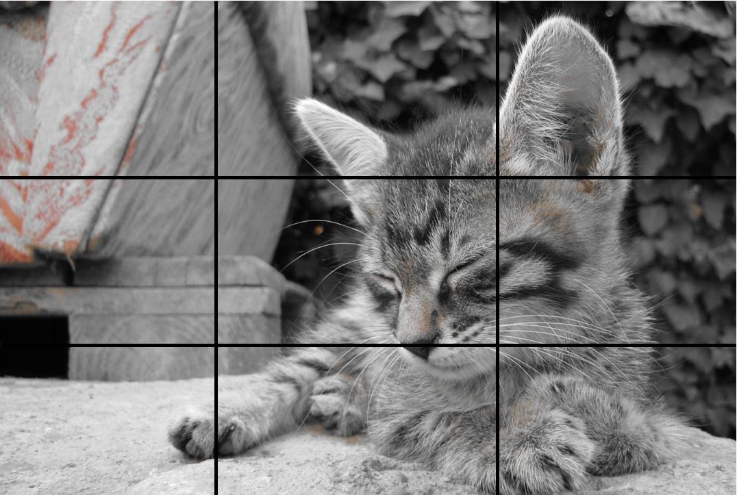 rule of thirds demo.jpg