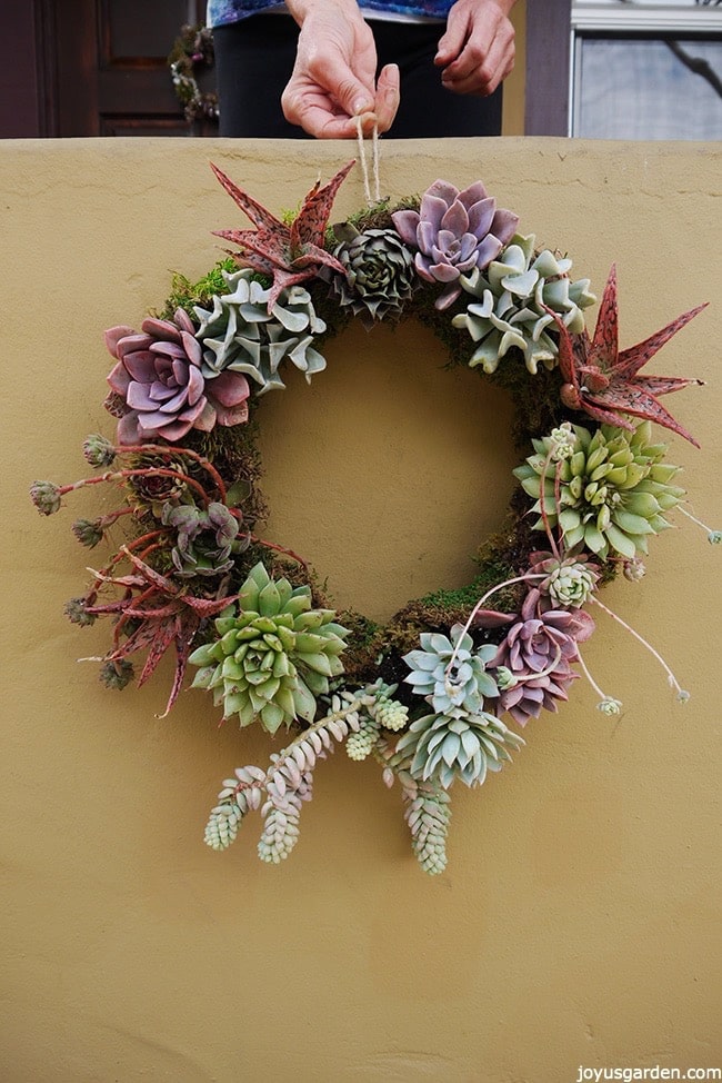 rustic-succulent-wreath.jpg