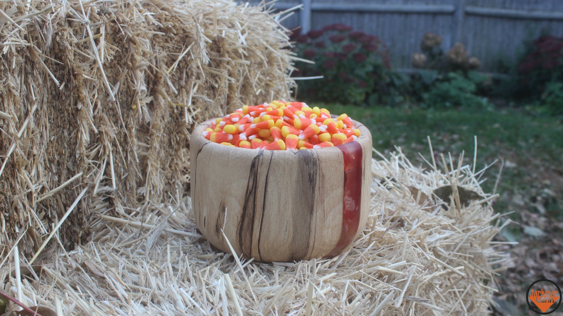 salem halloween bowl 24.jpg