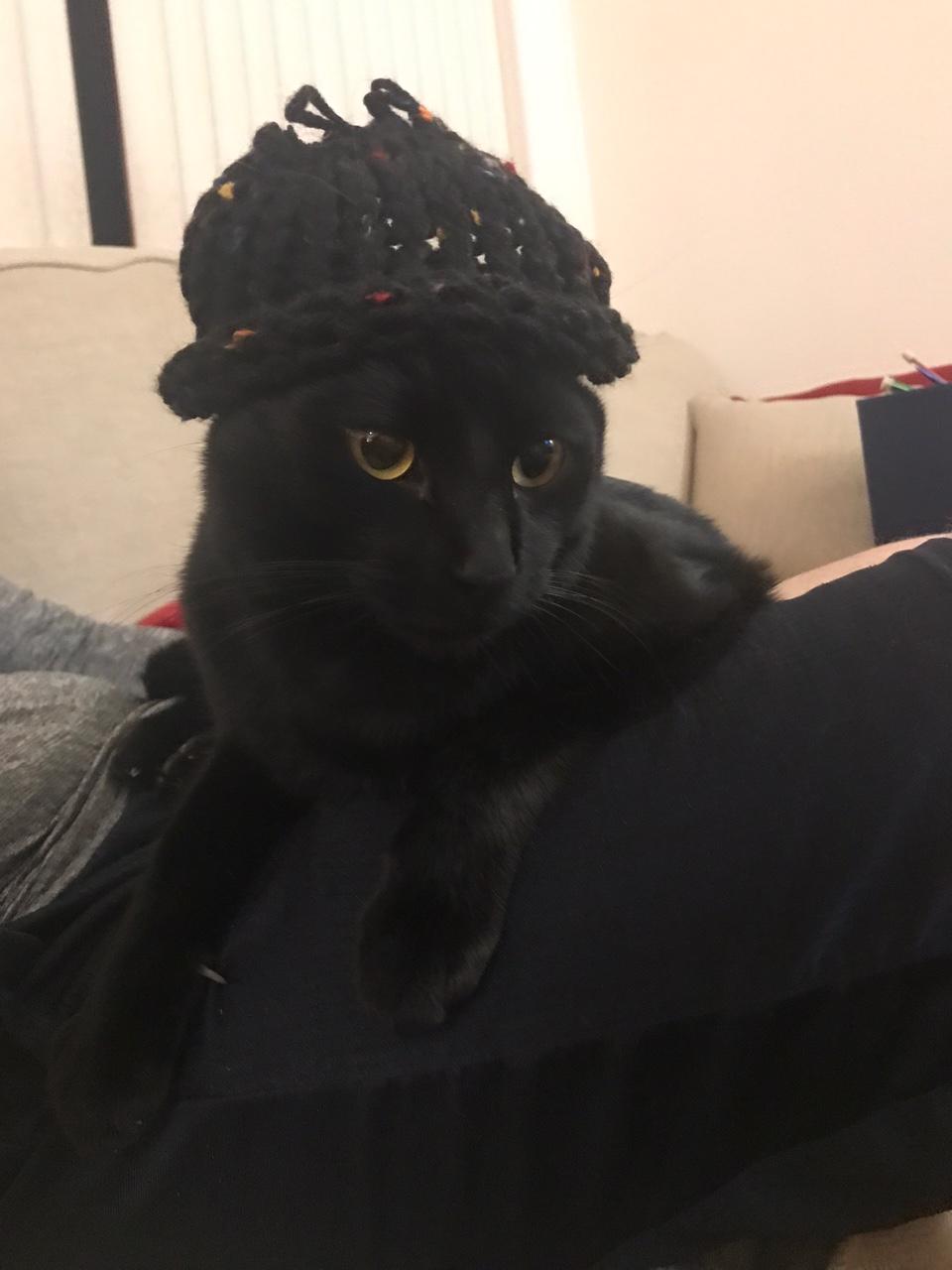 salem in beanie.JPG