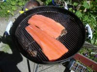 salmonongrill-medium.jpg