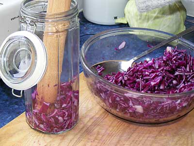 sauerJar2.jpg