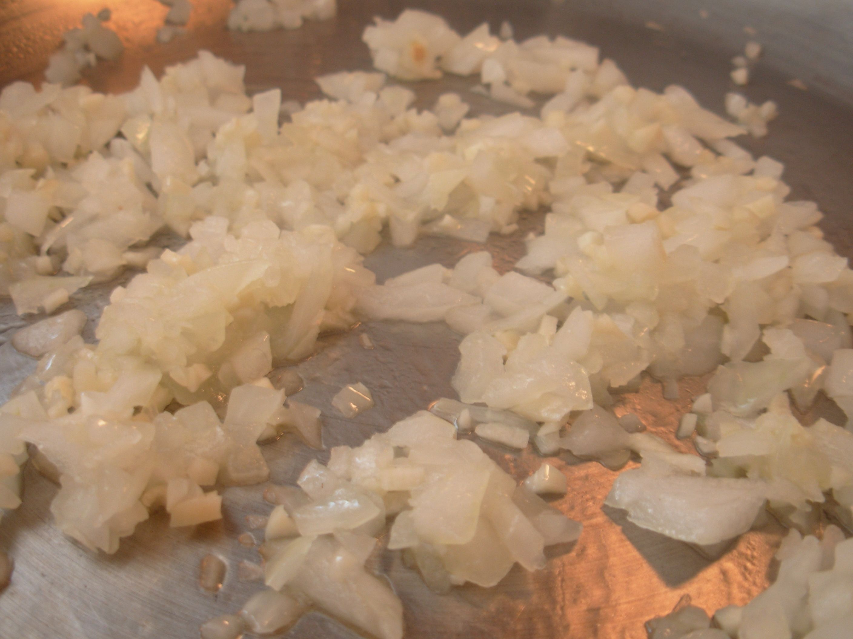 sautee onions and garlic'.jpg