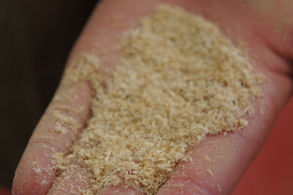 sawdust02.jpg